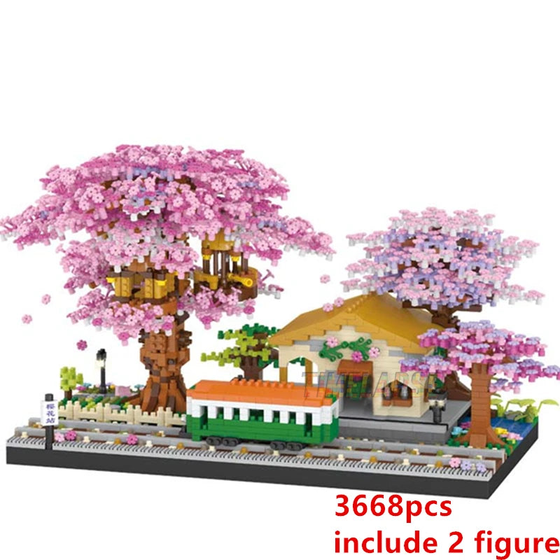 49843967656200